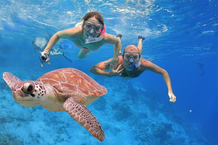 Waitukubuli Volcano Snorkeling
