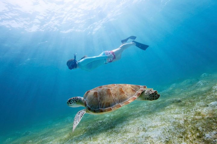 Snorkeltur til Koh Nangyuan og Koh Tao ved Speed Boat fra Koh Phangan