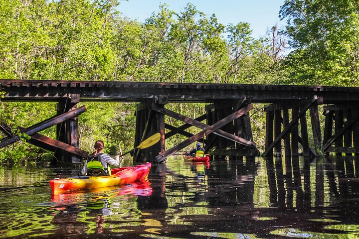 Tour guiado en kayak por la isla Amelia de Lofton Creek