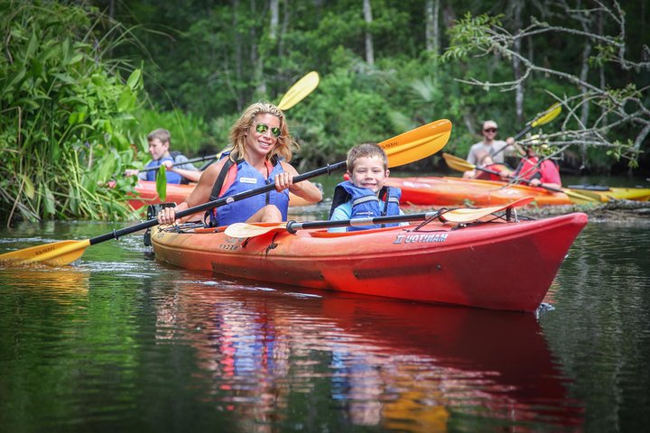 Tour guiado en kayak por la isla Amelia de Lofton Creek