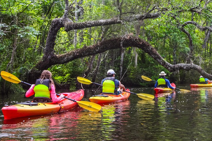 Tour guiado en kayak por la isla Amelia de Lofton Creek