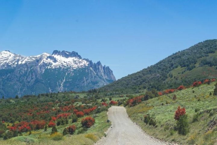 Gita di un giorno al lago Huechulafquen e al vulcano Lanin