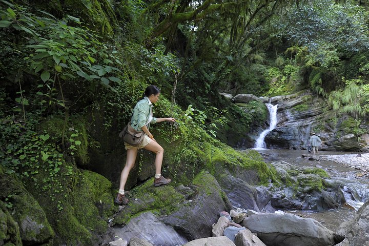 Tour di mezza giornata di Yungas da Tucuman