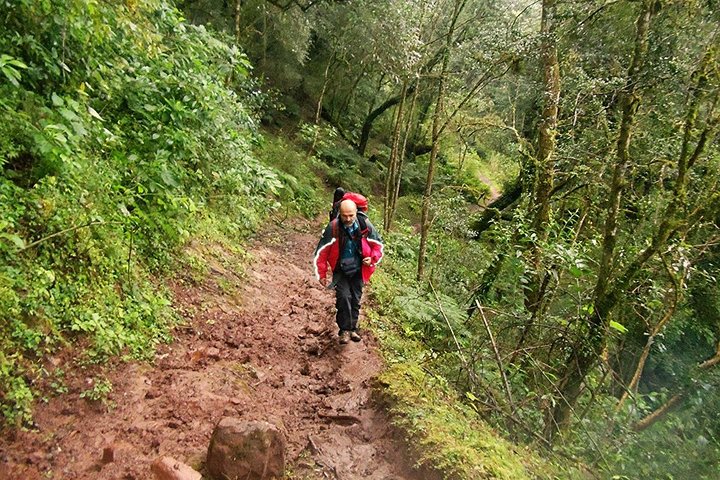 Tour di mezza giornata di Yungas da Tucuman