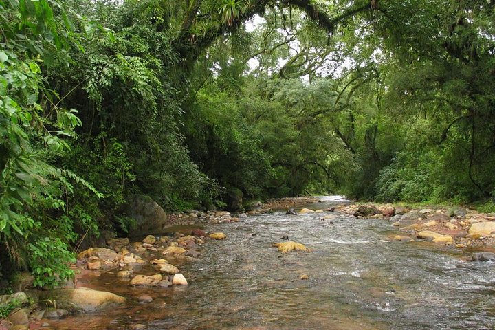 Tour di mezza giornata di Yungas da Tucuman