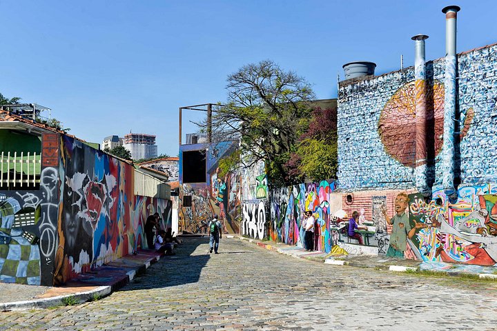Tour privato di San Paolo con Parco Ibirapuera, Paulista Av e visita del centro
