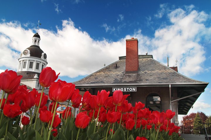 1-timers vandretur i Kingston med en lokal historiker