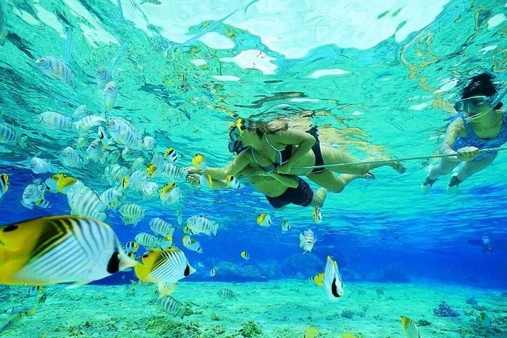 Catamaran Adventure Full Day: Ile aux cerfs, GRSE Waterfall, Snorkelen & BBQ-lunch
