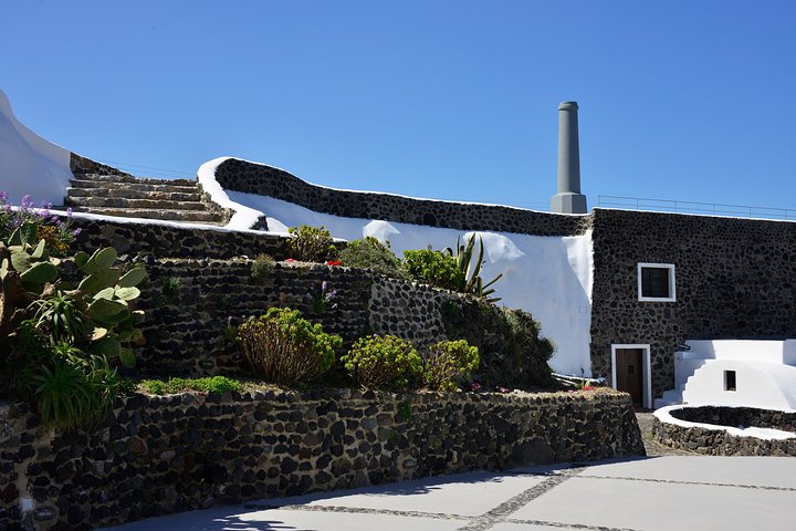 Tour enológico Santorini : Visita 3 Bodegas Locales con Catas
