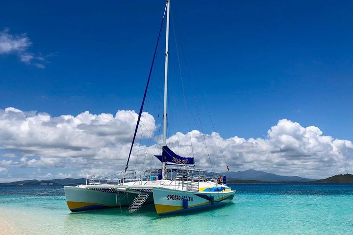 Dagstur med transport fra San Juan, Condado, Isla Verde