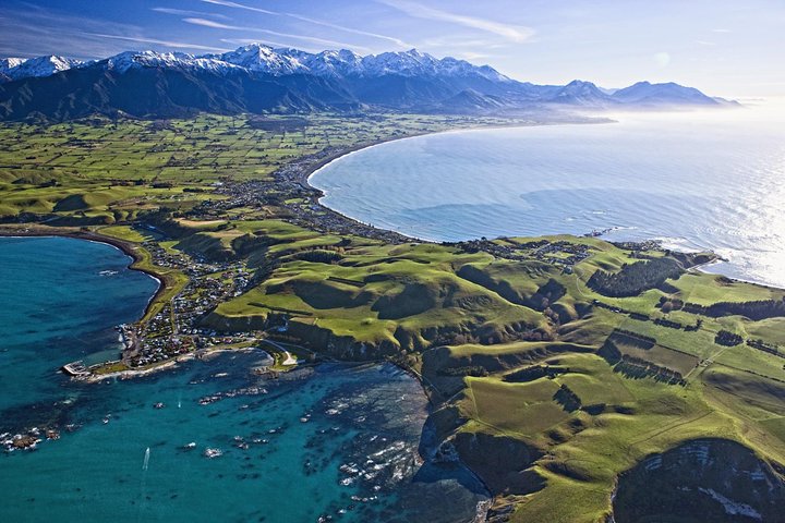 Tour de un día desde Christchurch para avistar ballenas en Kaikoura