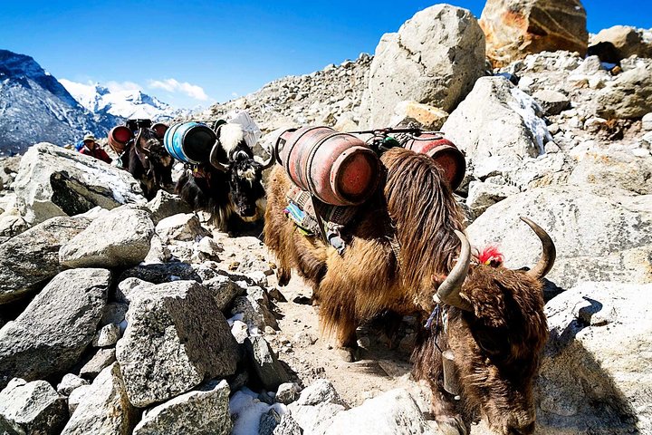 Erfahrung von Everest Base Camp Trek mit 5-Sterne-Unterkunft in Kathmandu