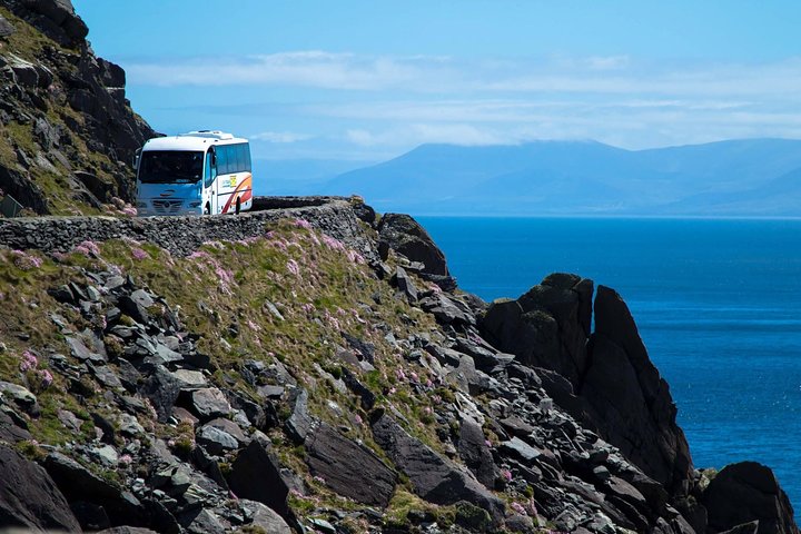 Tour di un Giorno della Penisola di Dingle, Capo Slea e Inch Beach