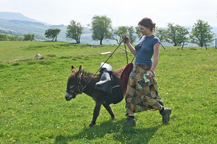 Natursköna promenader med miniåsnor i de vackra Brecon Beacons