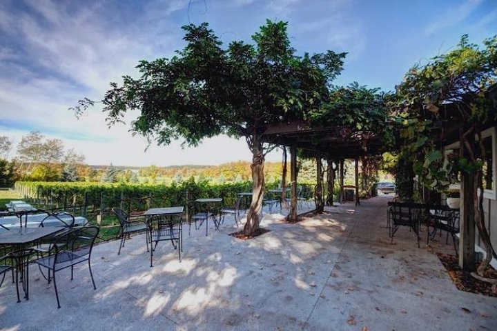 Excursão Traverse City Wine de 5 horas: 4 vinícolas na Old Mission Peninsula