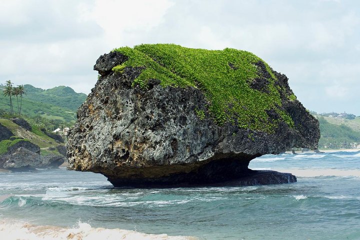 Barbados Island Tour med Lunch och Wildlife Sanctuary