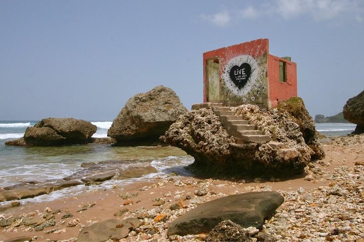 Barbados Island Tour med Lunch och Wildlife Sanctuary