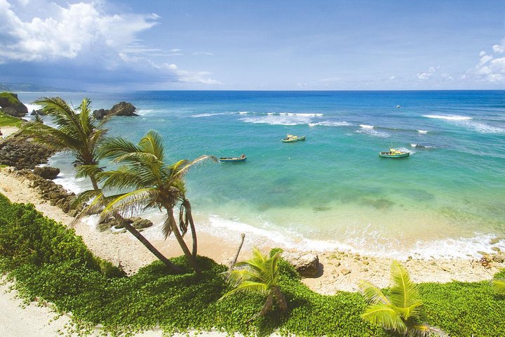 Barbados Island Tour med Lunch och Wildlife Sanctuary