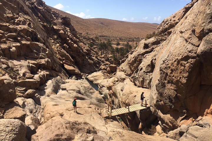 Fuerteventura South Exklusiv Tour