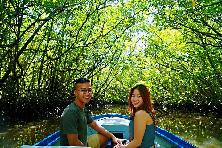 Bintan Mangrove Discovery Tour