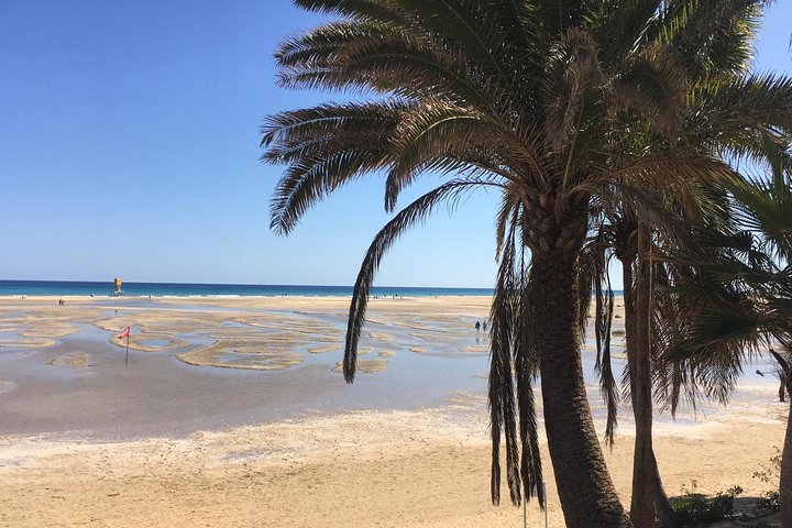 Fuerteventura South Exklusiv Tour