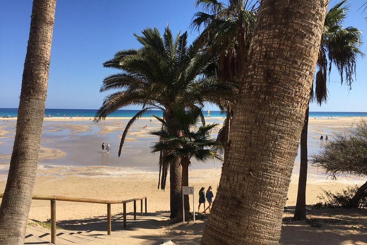 Fuerteventura South Exklusiv Tour