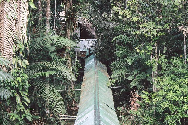 4 días Ecuador Amazon Jungle Tour - Lodge en Cuyabeno Reserve
