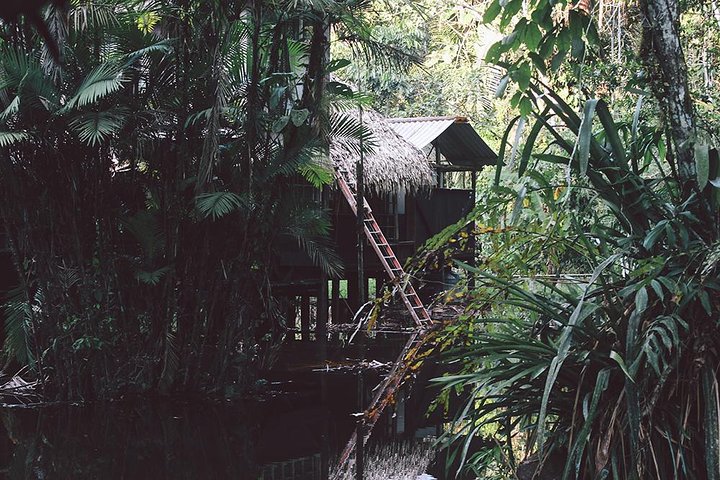 4 días Ecuador Amazon Jungle Tour - Lodge en Cuyabeno Reserve