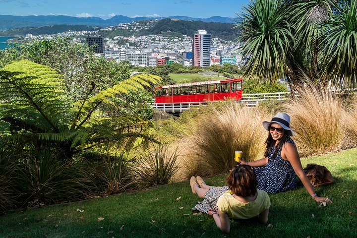 Wellington City til kyst højdepunkter tur (med frokost)