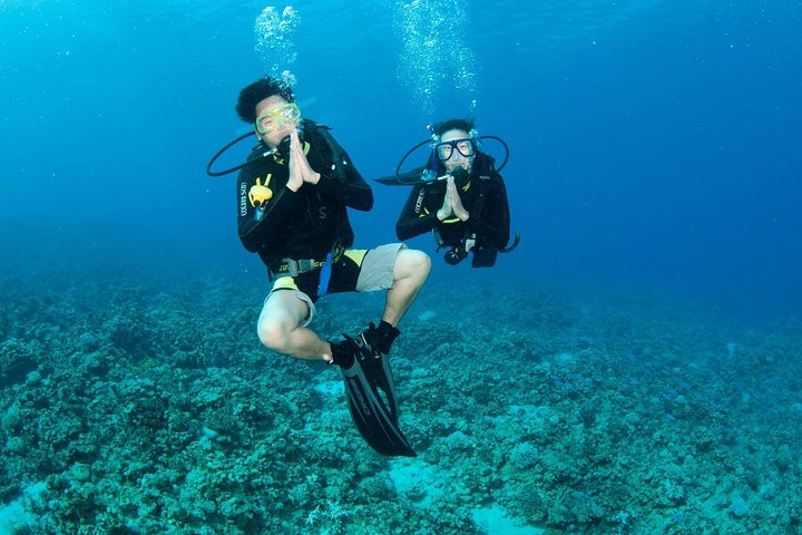 Entdecken Sie Sporttauchen, probieren Sie Tauchen für Anfänger aus (beginnt ab Koh Chang)