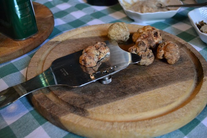 Experiencia de caza de trufas con almuerzo en San Miniato