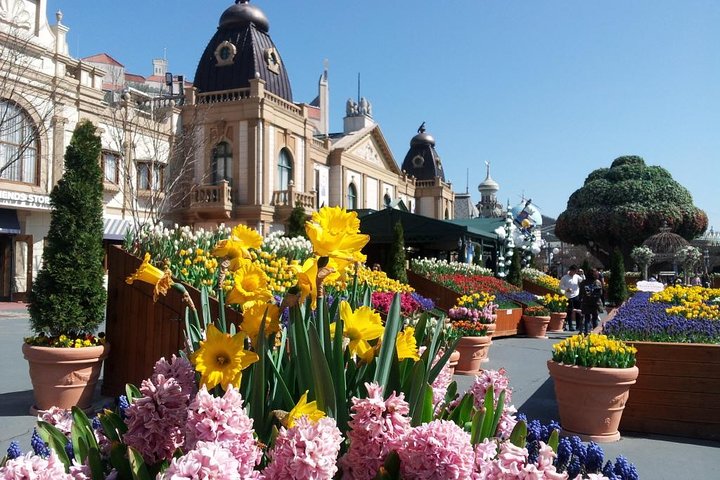 EVERLAND "Dall'hotel all'hotel" [Tour privato premium: solo un gruppo per te]