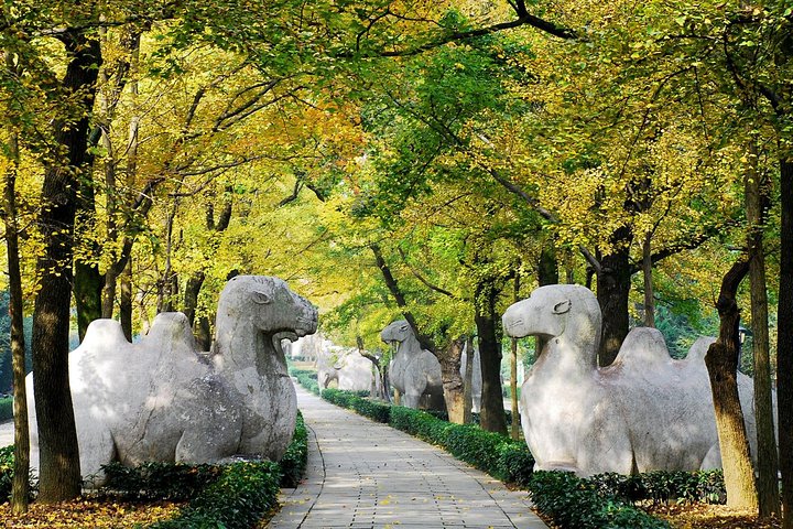 Evidenziare il tour giornaliero flessibile della città di Nanjing