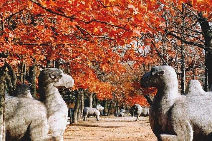 Evidenziare il tour giornaliero flessibile della città di Nanjing