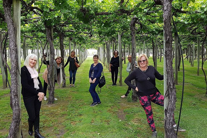 Assapora il tour del vino della valle a Marlborough con degustazione di vini