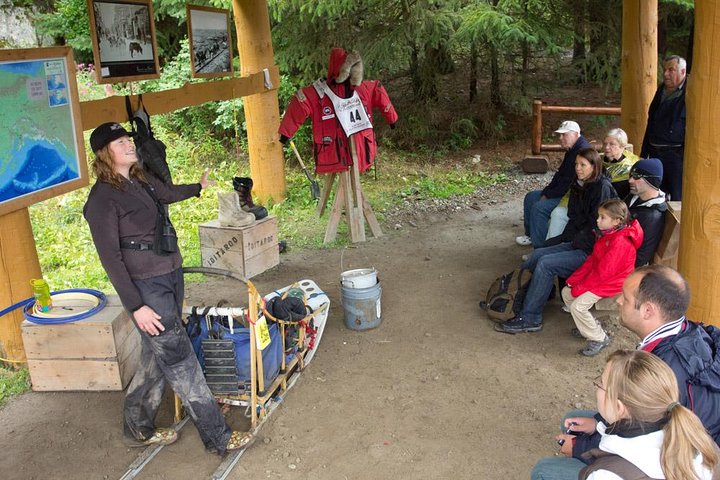Aventura de perros en trineo y campamento de Musher en Skagway