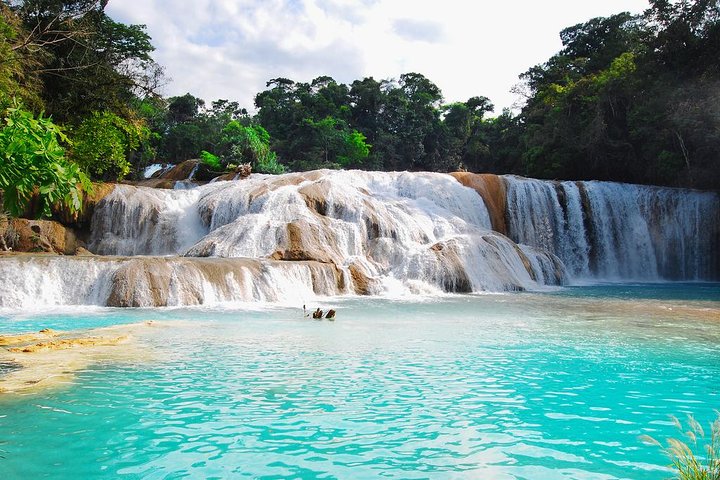 Tour em cascatas de Agua Azul, Cascata Misol-Ha e Zona Arqueológica de Palenque.