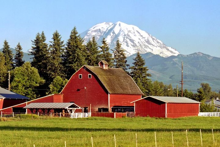 Mt. Rainier National Park Highlights Tour