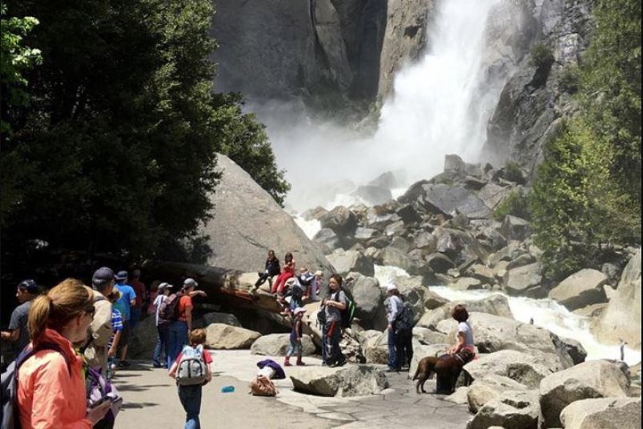 Tagesausflug von San Francisco nach Yosemite und Riesenmammutbäumen in kleiner Gruppe