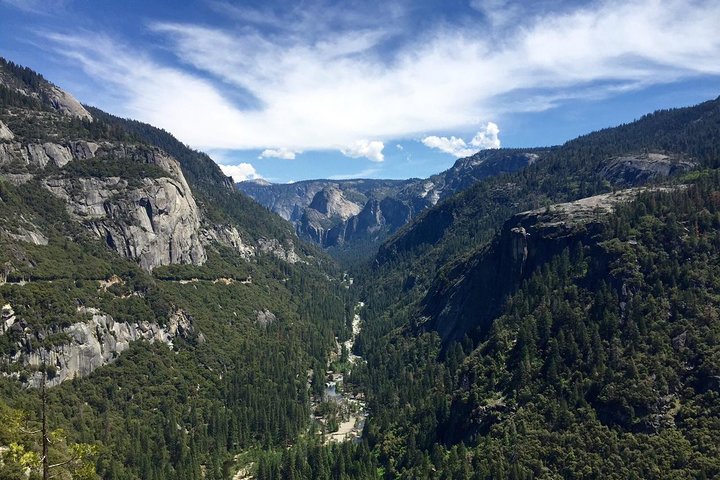 Tagesausflug von San Francisco nach Yosemite und Riesenmammutbäumen in kleiner Gruppe