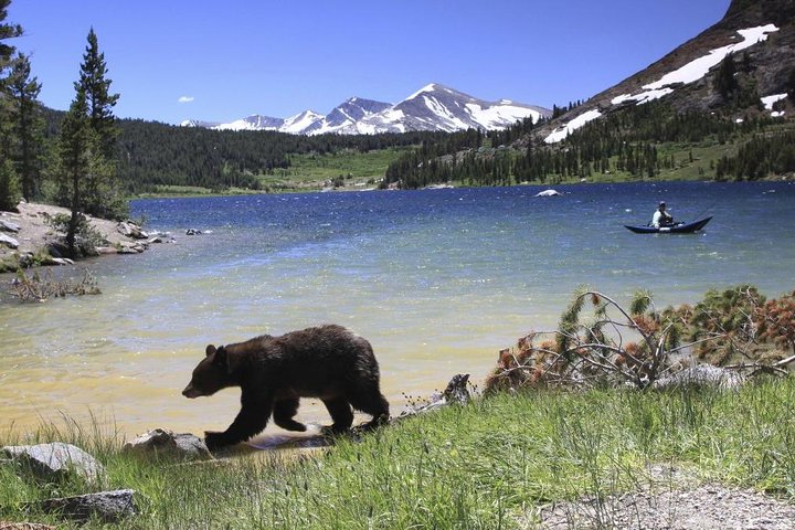 Tagesausflug von San Francisco nach Yosemite und Riesenmammutbäumen in kleiner Gruppe