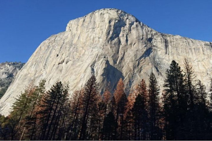 Tagesausflug von San Francisco nach Yosemite und Riesenmammutbäumen in kleiner Gruppe
