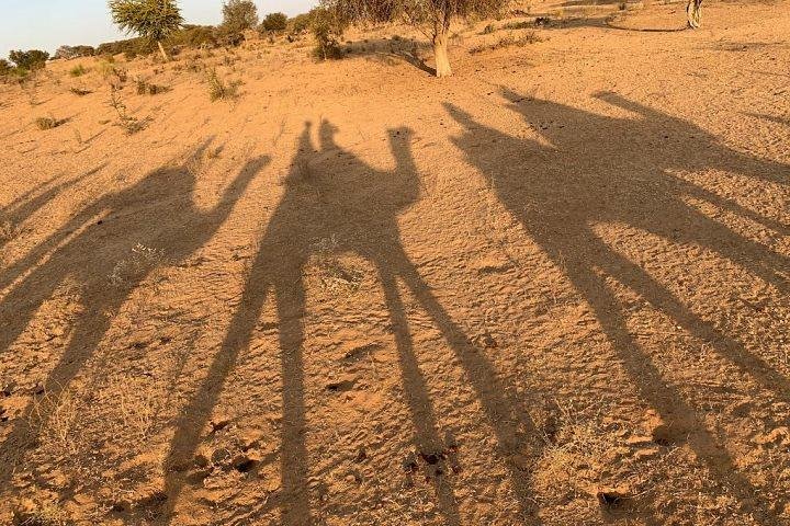 Desert Camel Safari & Jeep Safari Tour fra Jodhpur