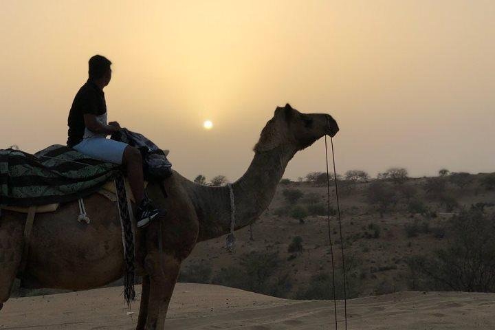 Desert Camel Safari & Jeep Safari Tour fra Jodhpur
