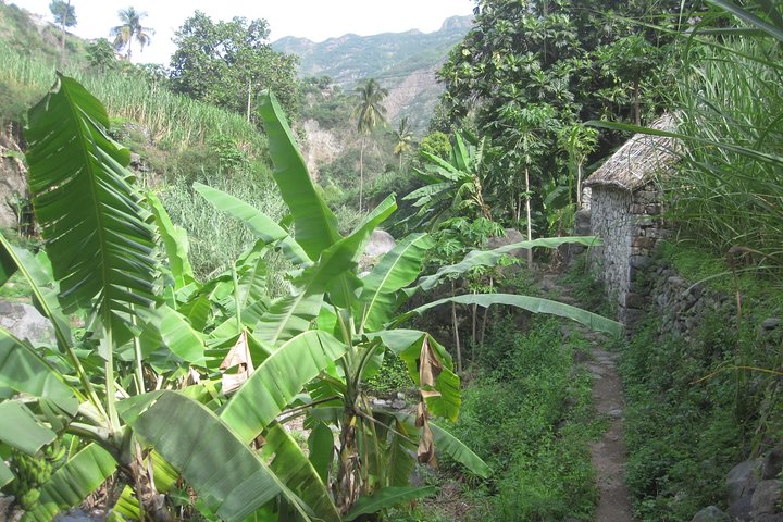 Santo Antão Points forts : Excursion d'une journée en voiture avec ferry au départ de São Vicente