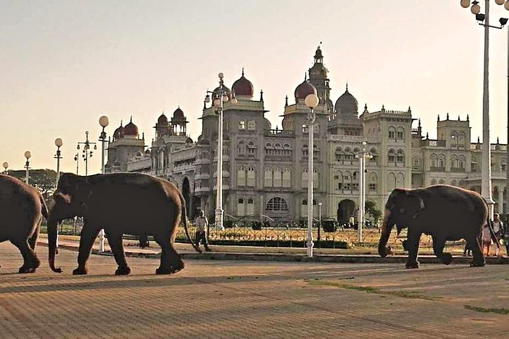 Beste av Mysore, UNESCO Somnathpur-tempelet og Srirangapatna-dagstur