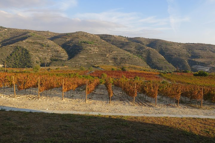 Troodos Mountains Vino Venture: Tour del vino di un'intera giornata