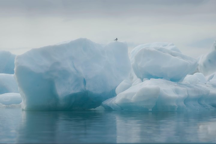 Guided Glacier Lagoon and Diamond Beach Day Trip from Reykjavik
