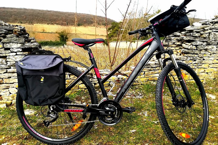 Burgund Bike Tour med vinsmagning fra Beaune