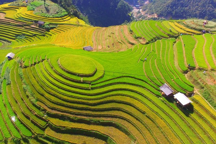 Transfer privado Hanoi Mu Cang Chai One Way (coleta do hotel)